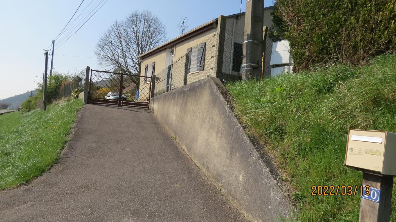 le tilleul Sainte-Genevieve-les-Gasny Extérieur photo