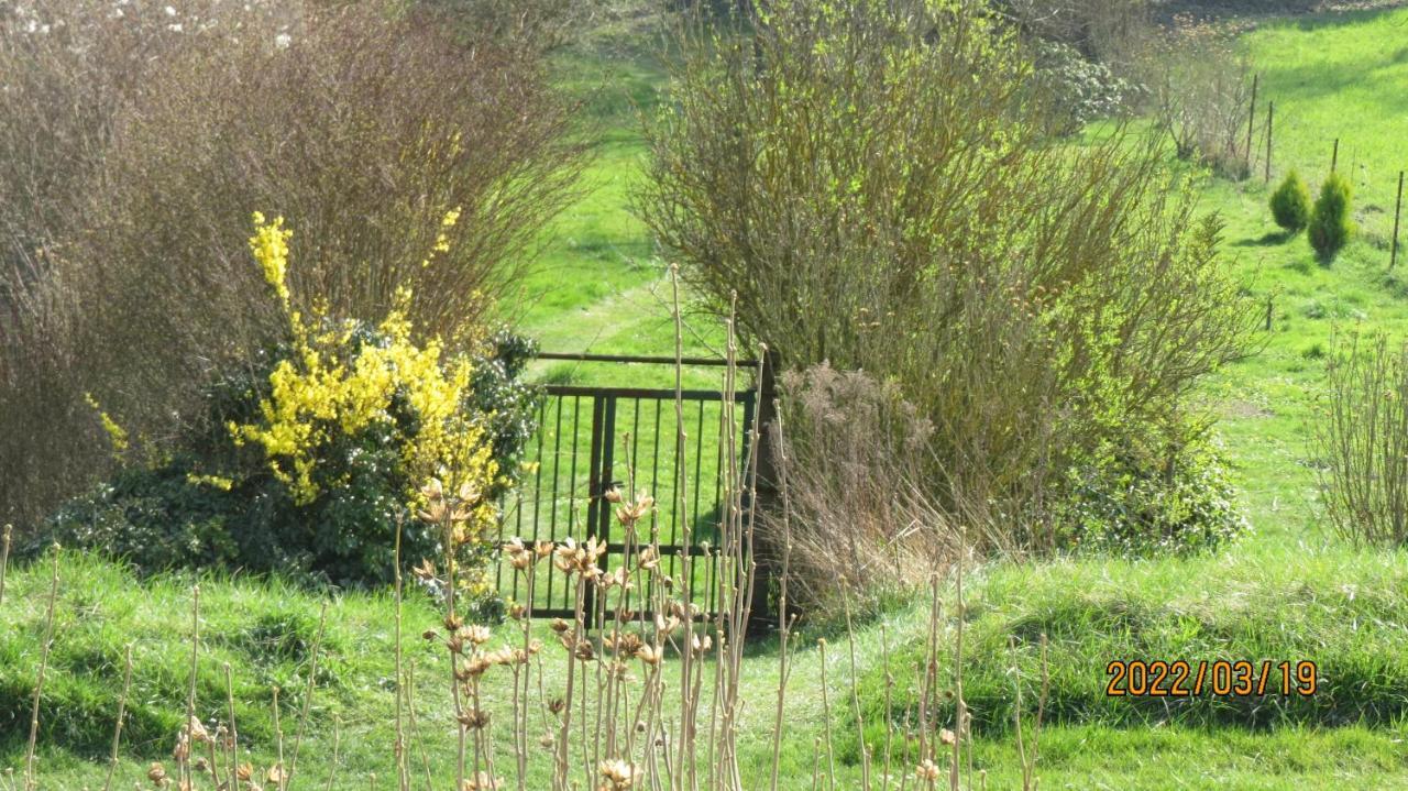 le tilleul Sainte-Genevieve-les-Gasny Extérieur photo